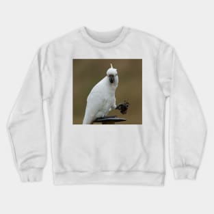 Sprung by South Australian artist Avril Thomas Crewneck Sweatshirt